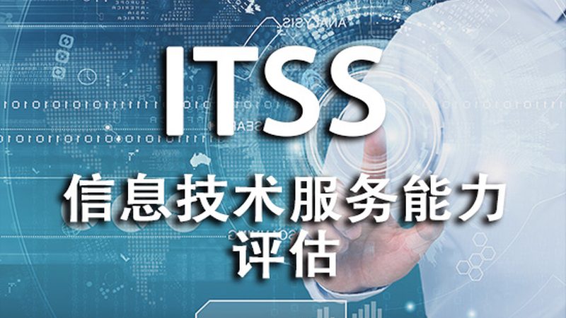 上海信息技术公司项目交付：揭秘高效步骤与关键要点